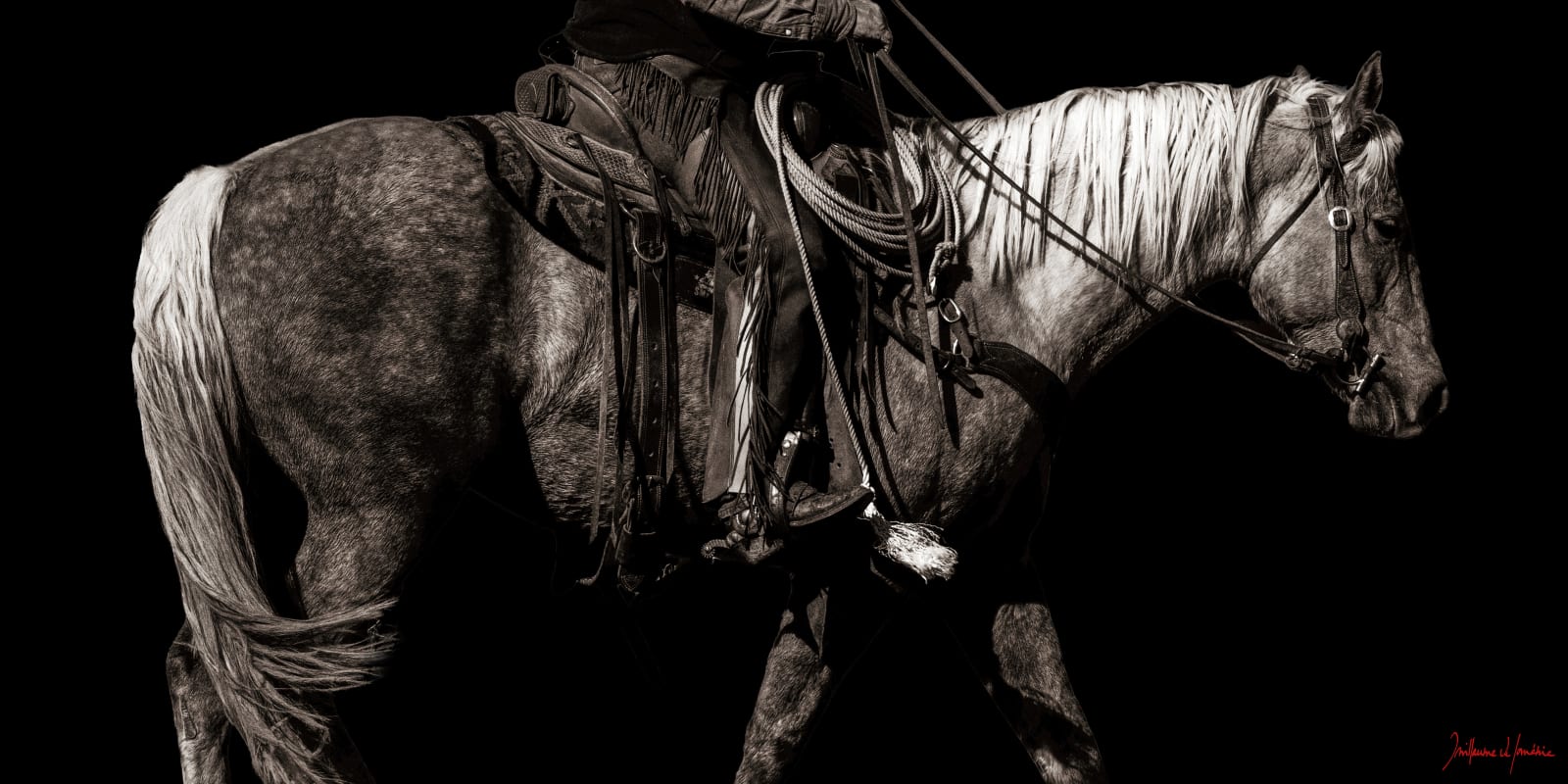 Guillaume Beau de Lomenie, Of Leather and Rope