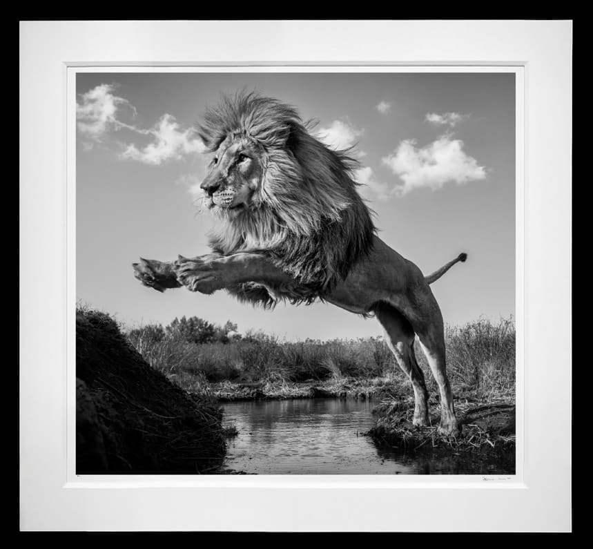 David Yarrow, O Captain! My Captain!