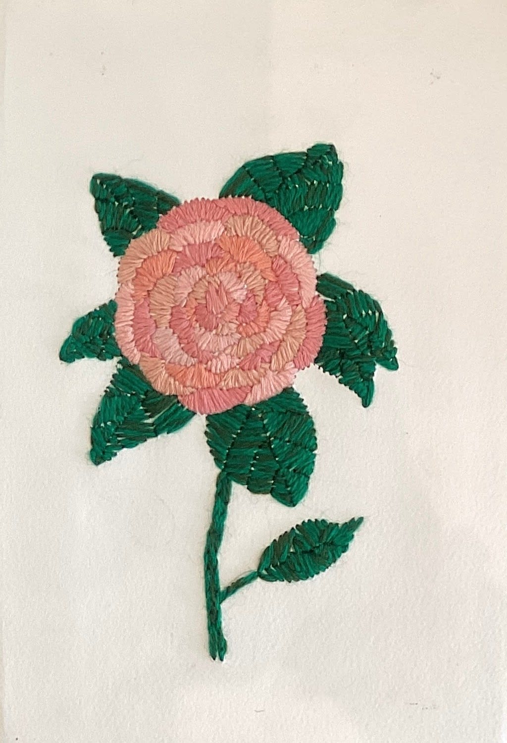 Ghizlane Sahli, Les Lamelles - Camelia, 2024