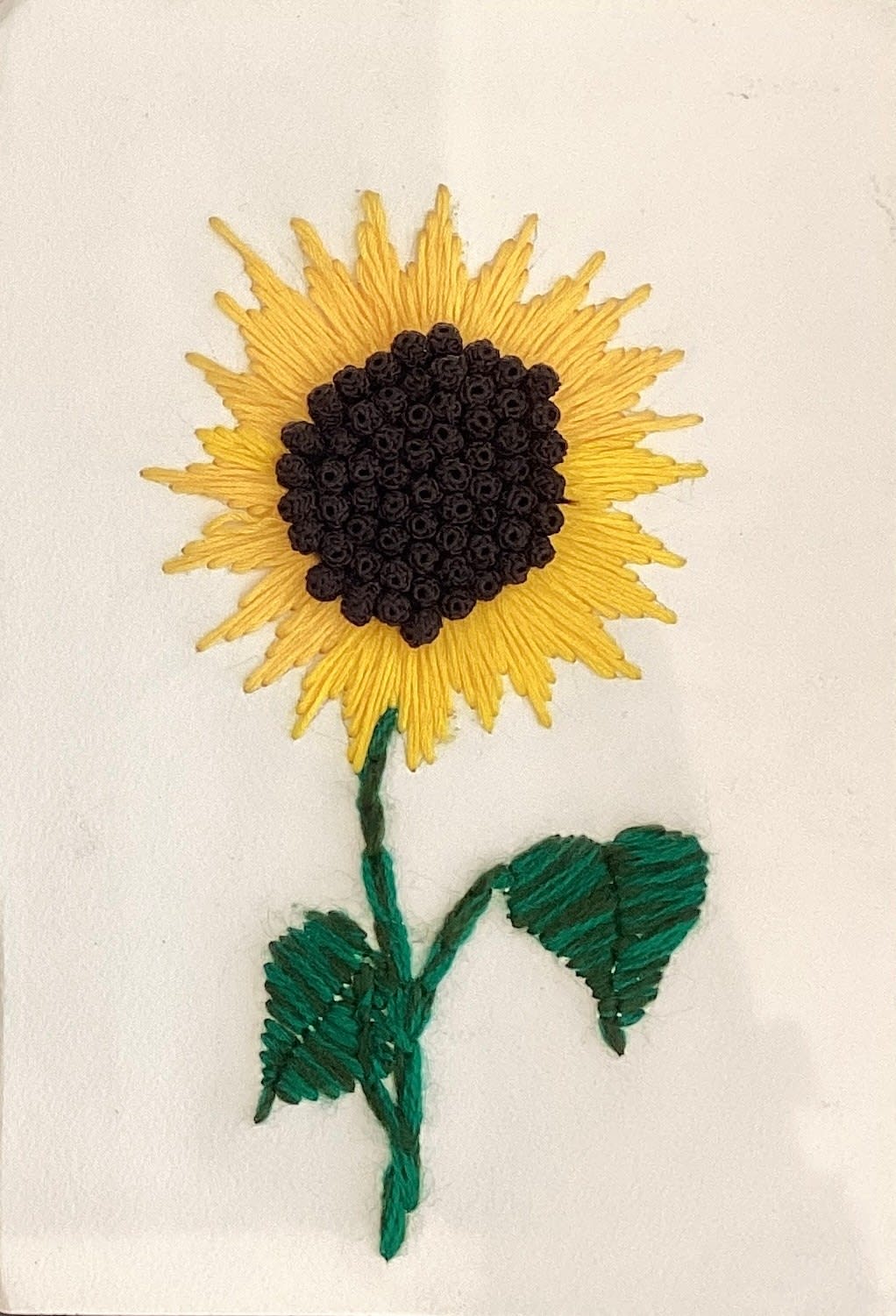 Ghizlane Sahli, Les Lamelles - Tournesol, 2024