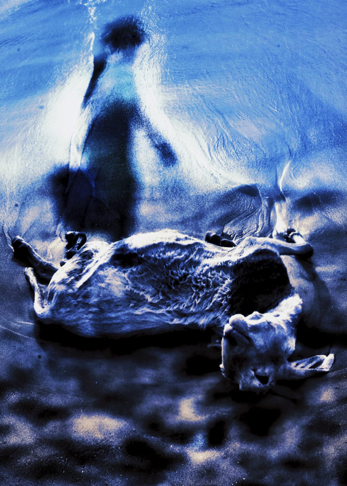 Nyaba Léon Ouedraogo, Série "Mame Coumba Bang" - Rituel pour le mythe, 2022