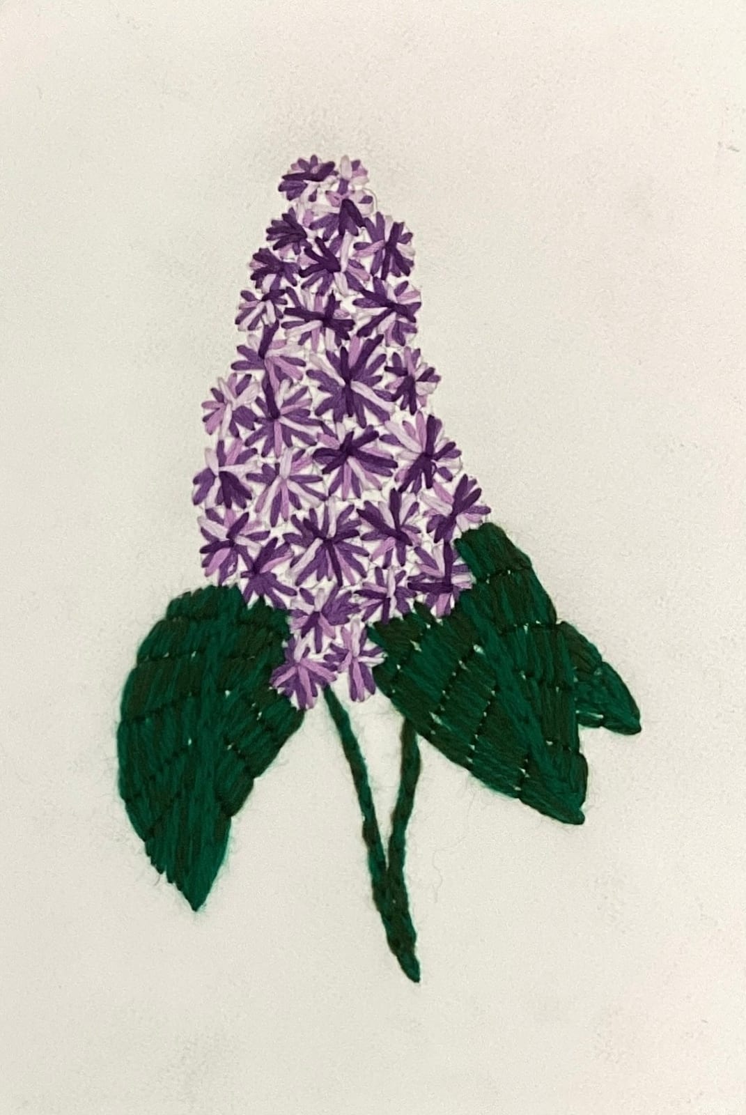 Ghizlane Sahli, Les Lamelles - Lilas, 2024