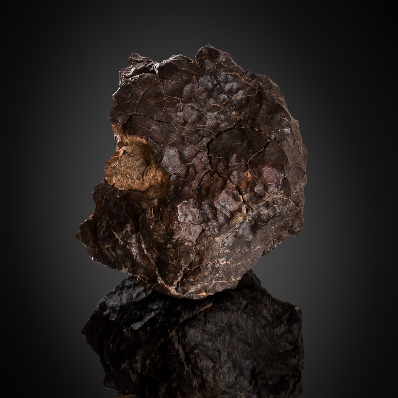 Meteorite | Chondrite