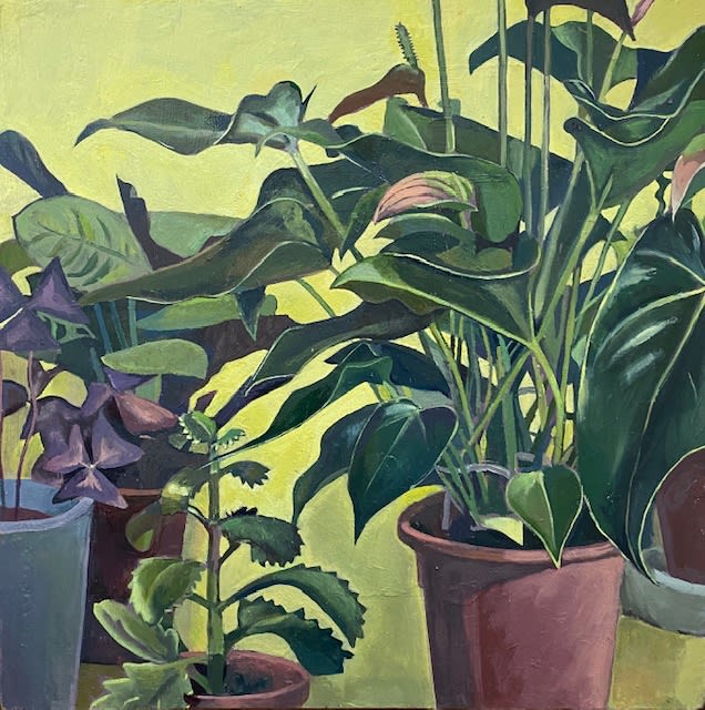 Amelia Power, Anthurium, 2020