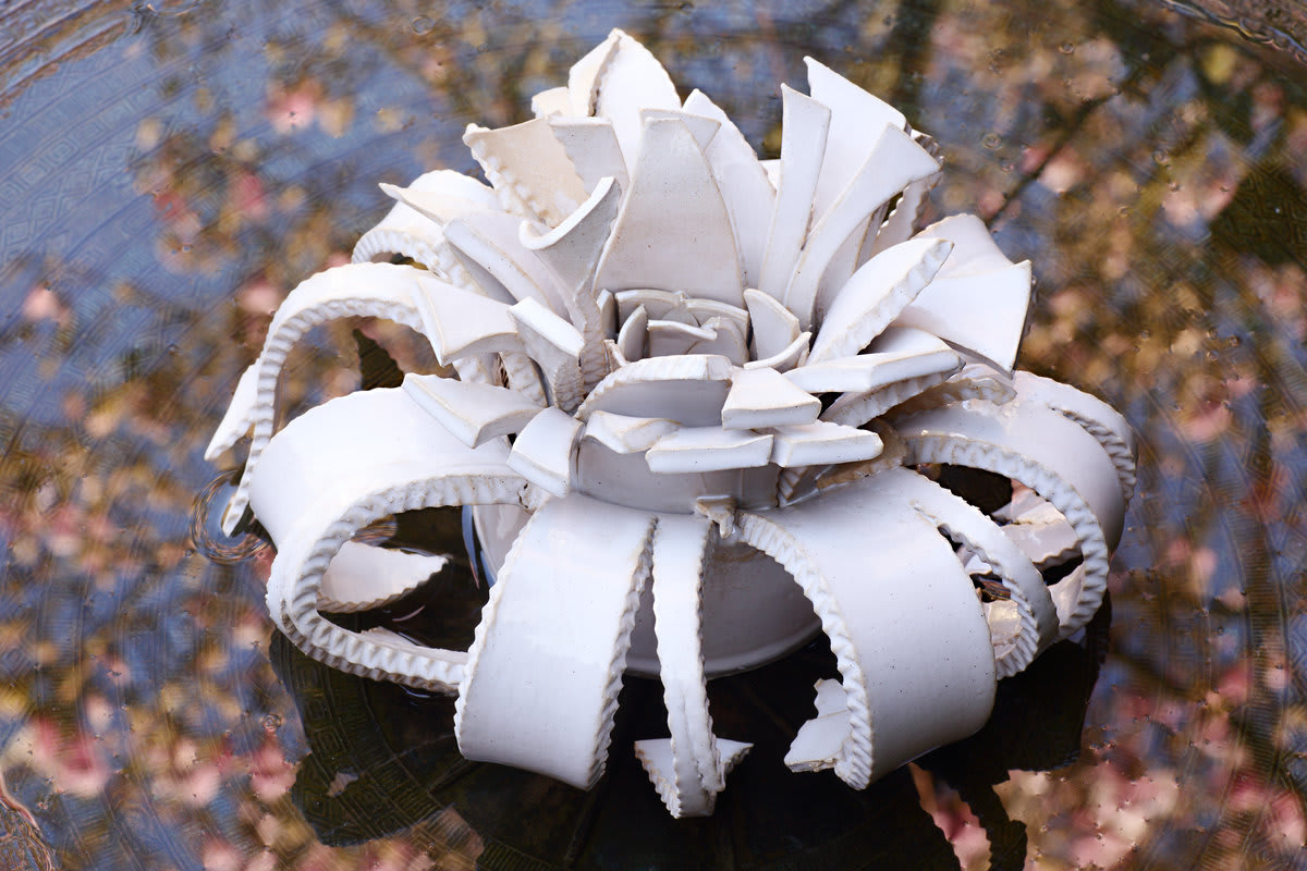 Kate Braine, Tendril Plant, 2019