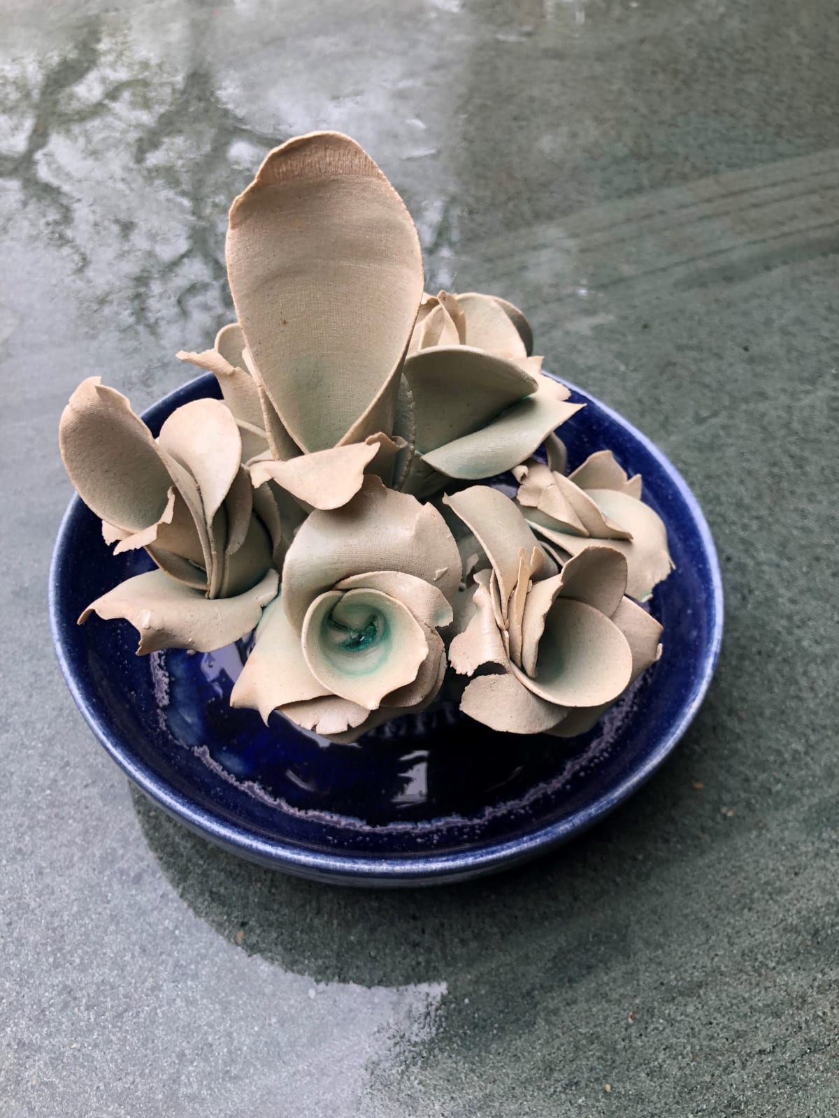 Kate Braine, Moonlight Roses, 2019