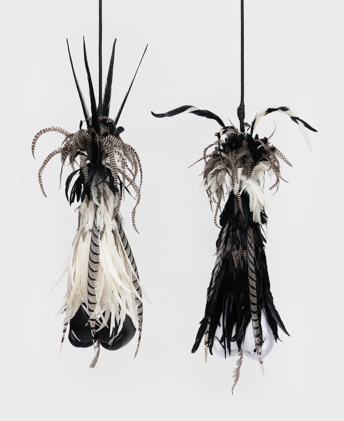 Esteban Ramón Pérez, El Gallo Grita en la Madrugada, El Gallo Canta a Medianoche, 2021