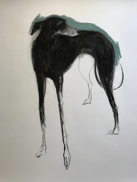 Sally Muir, Agnes (Hungerford Gallery)