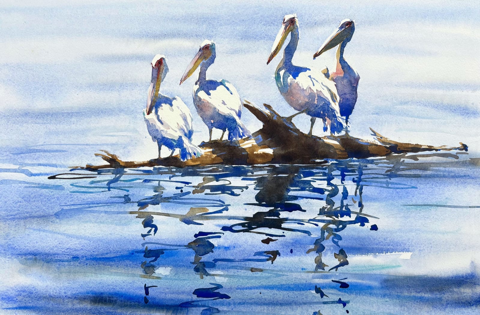 Julia Cassels, Pelicans of Nakuru