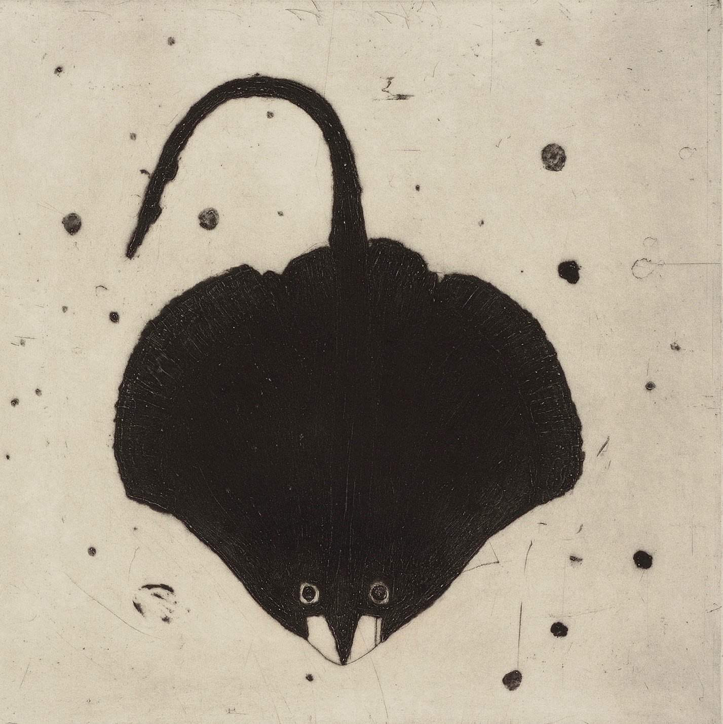 Kate Boxer, Skate (Unframed)