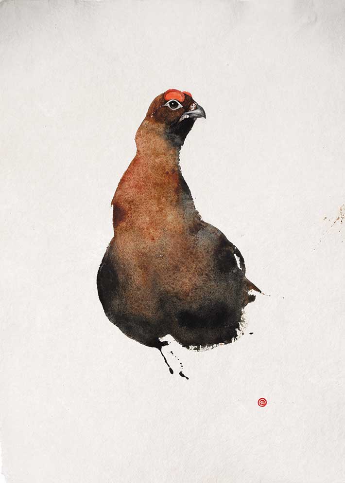 Karl Martens, Red Grouse II