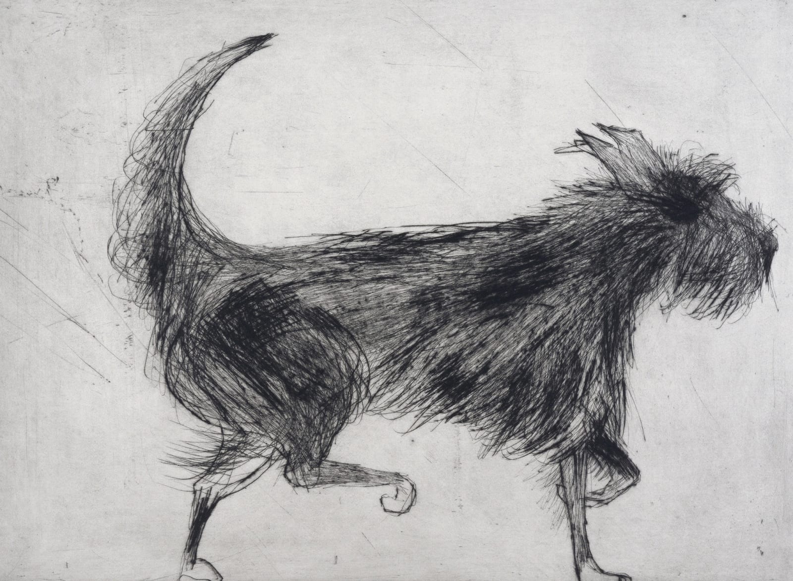 Kate Boxer, Fig (Unframed)
