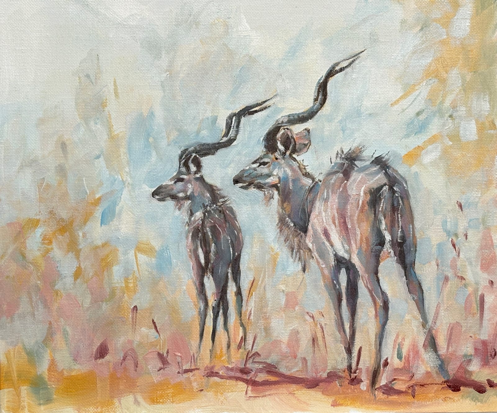 Julia Cassels, Kudus (Hungerford Gallery)