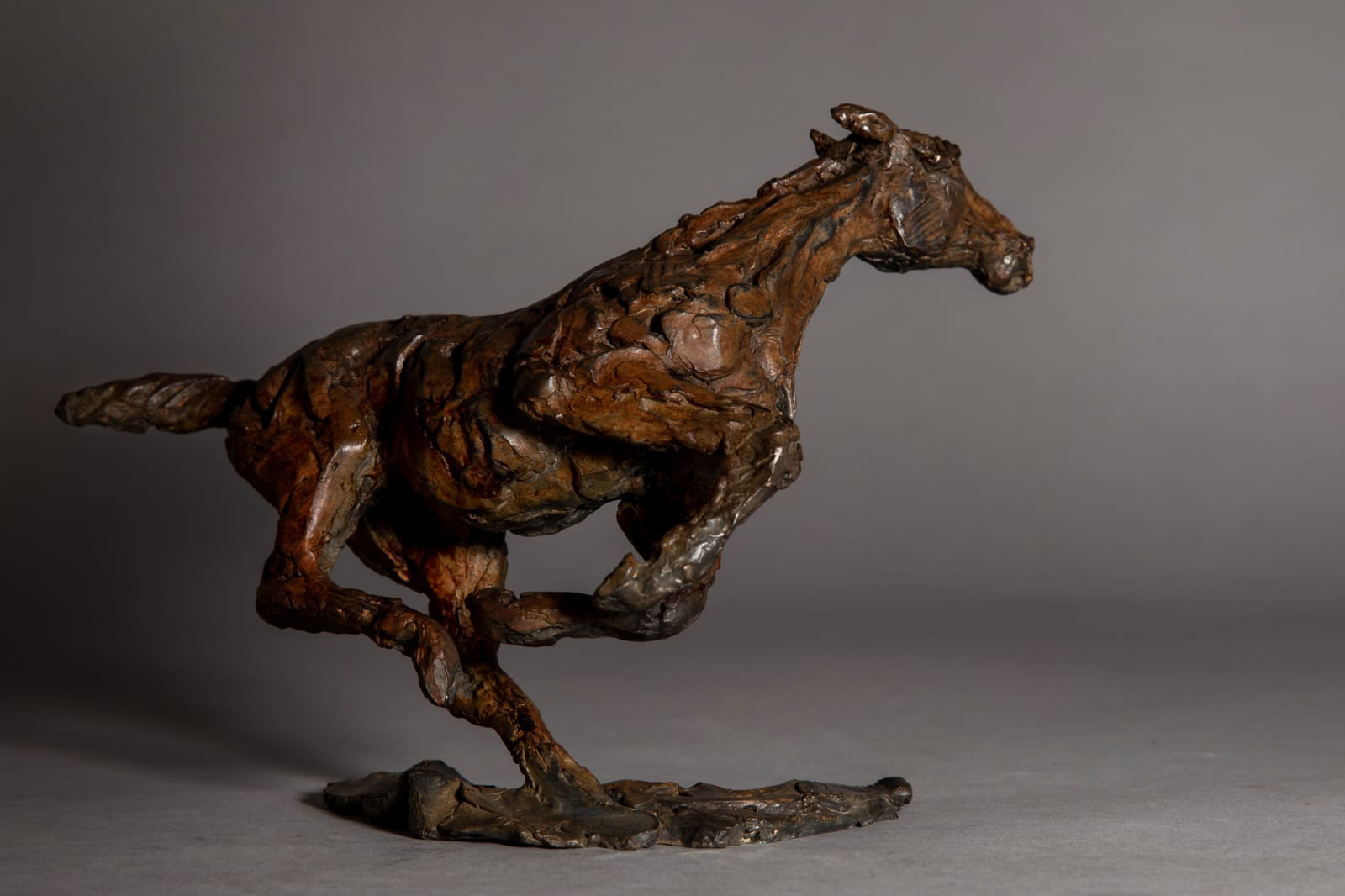 Jane Shaw, Changing Direction - Galloping Horse