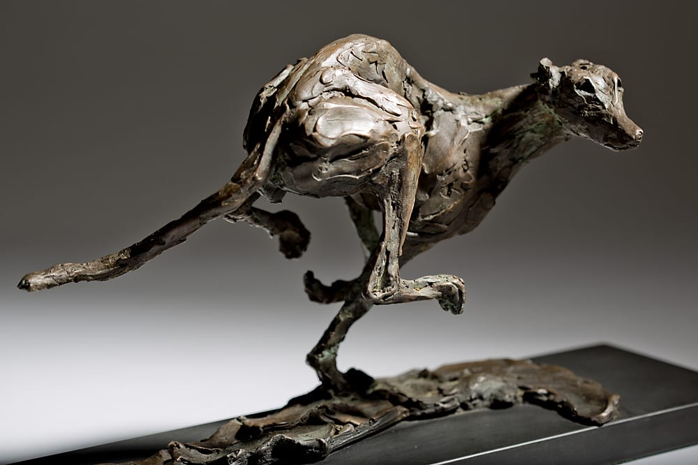 Jane Shaw, Speed - Racing Greyhound