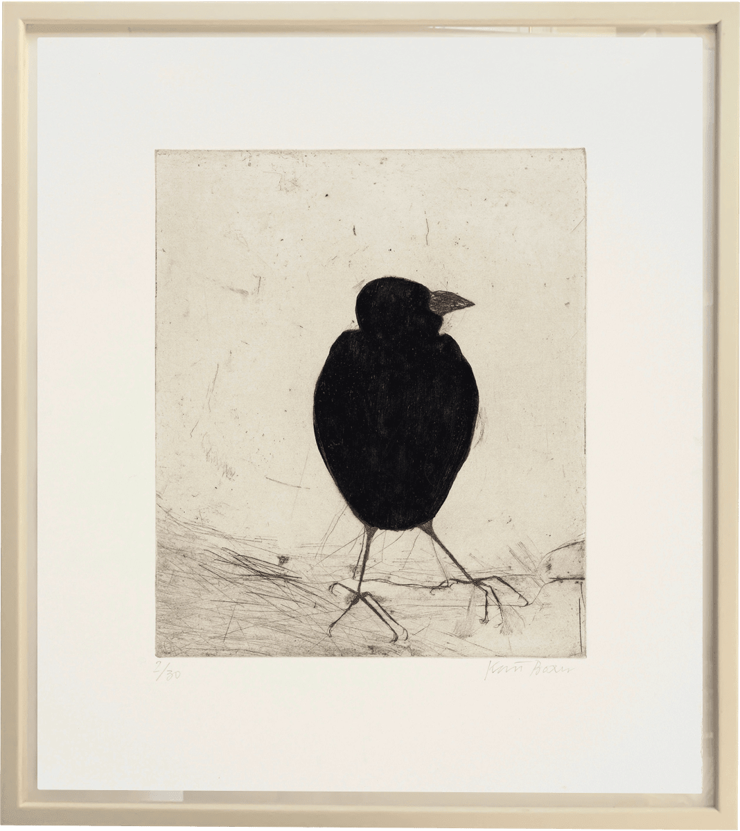 Kate Boxer, Jackdaw (Unframed)