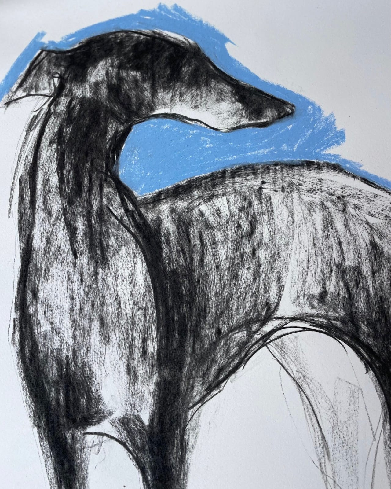 Sally Muir, Viola (London Gallery)