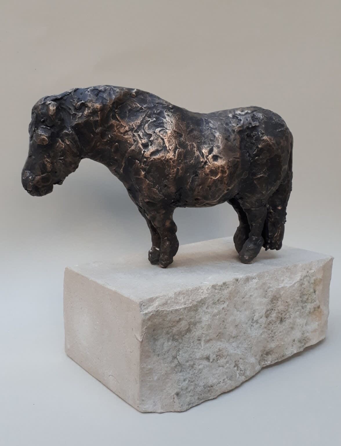 Lily Marsh, Lucy (London Gallery)