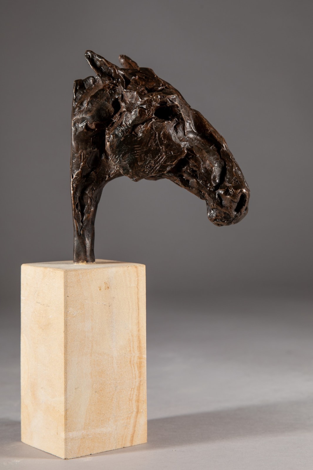 Jane Shaw, Roman Nose
