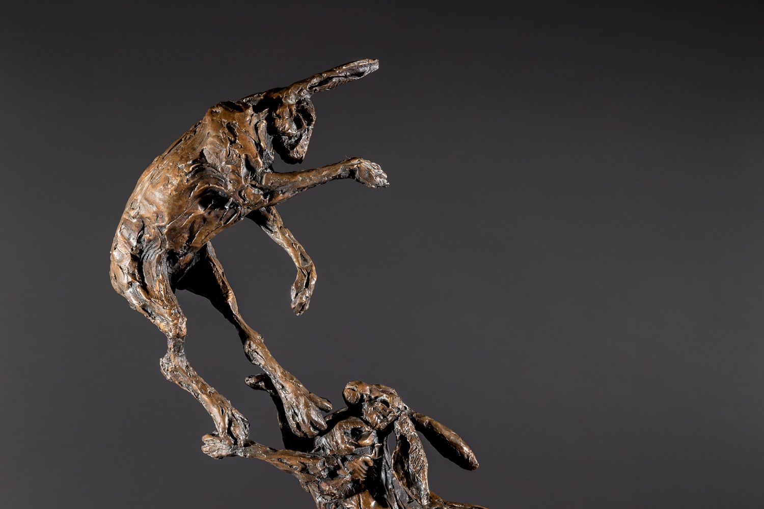 Jane Shaw, Love to Live - Boxing Hares