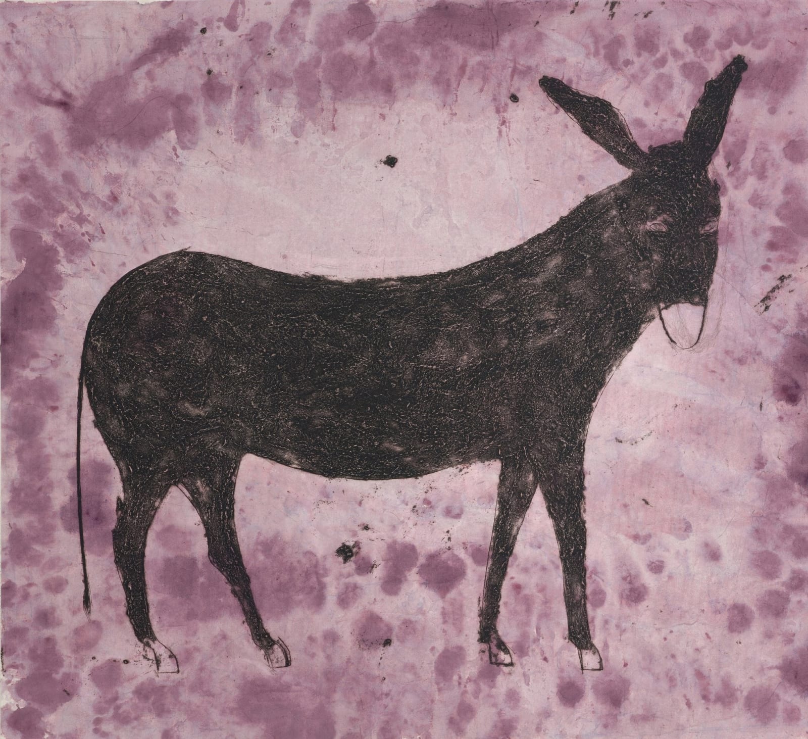 Kate Boxer, Balthazar (Unframed)