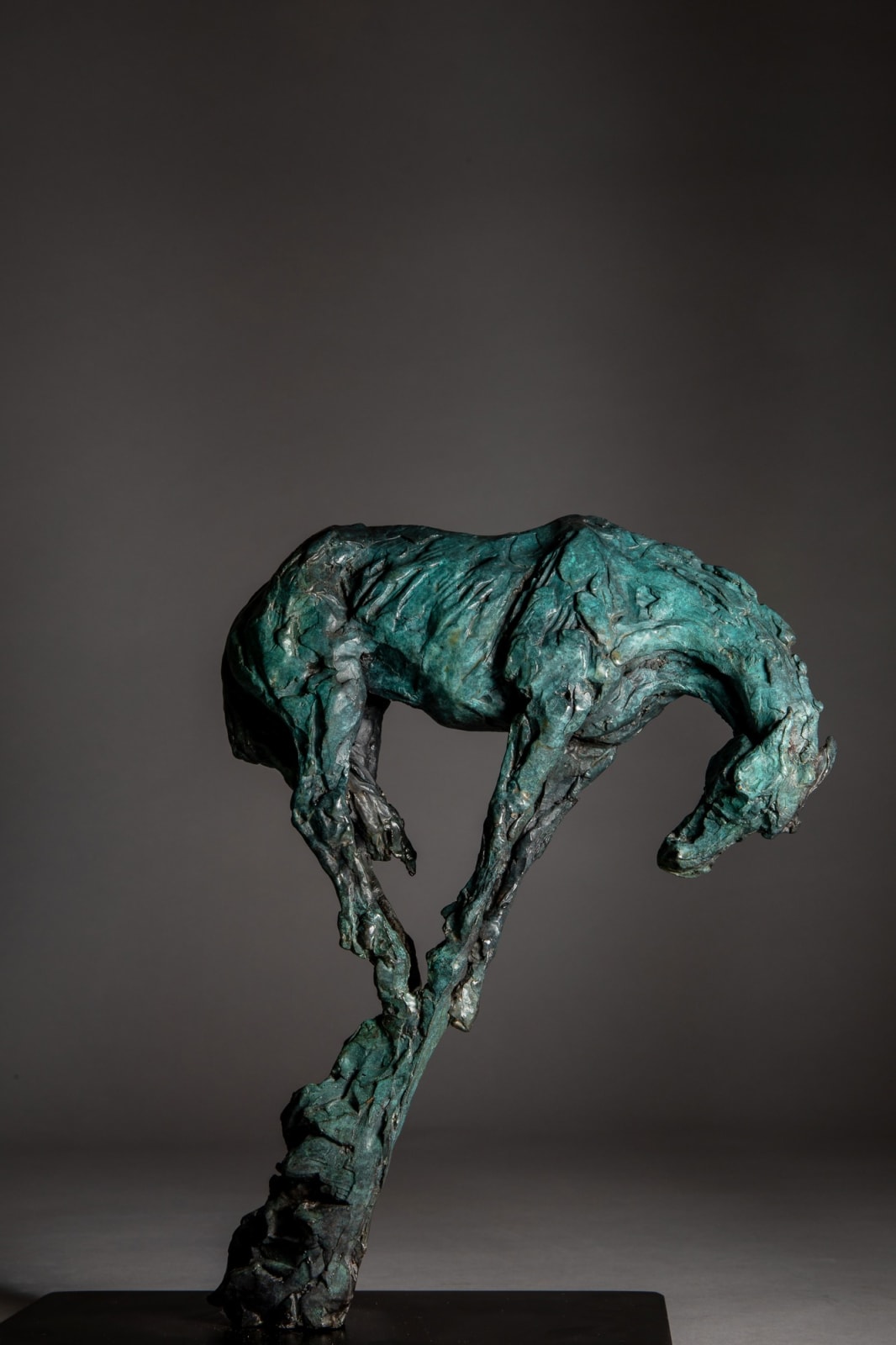Jane Shaw, Isolation - A Horse on a Pinnacle