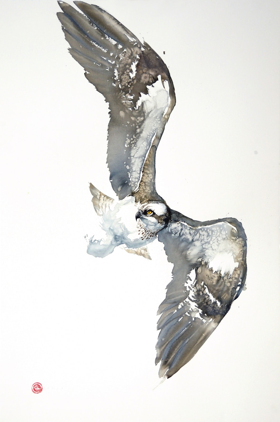 Karl Martens, Osprey Flying (Unframed)