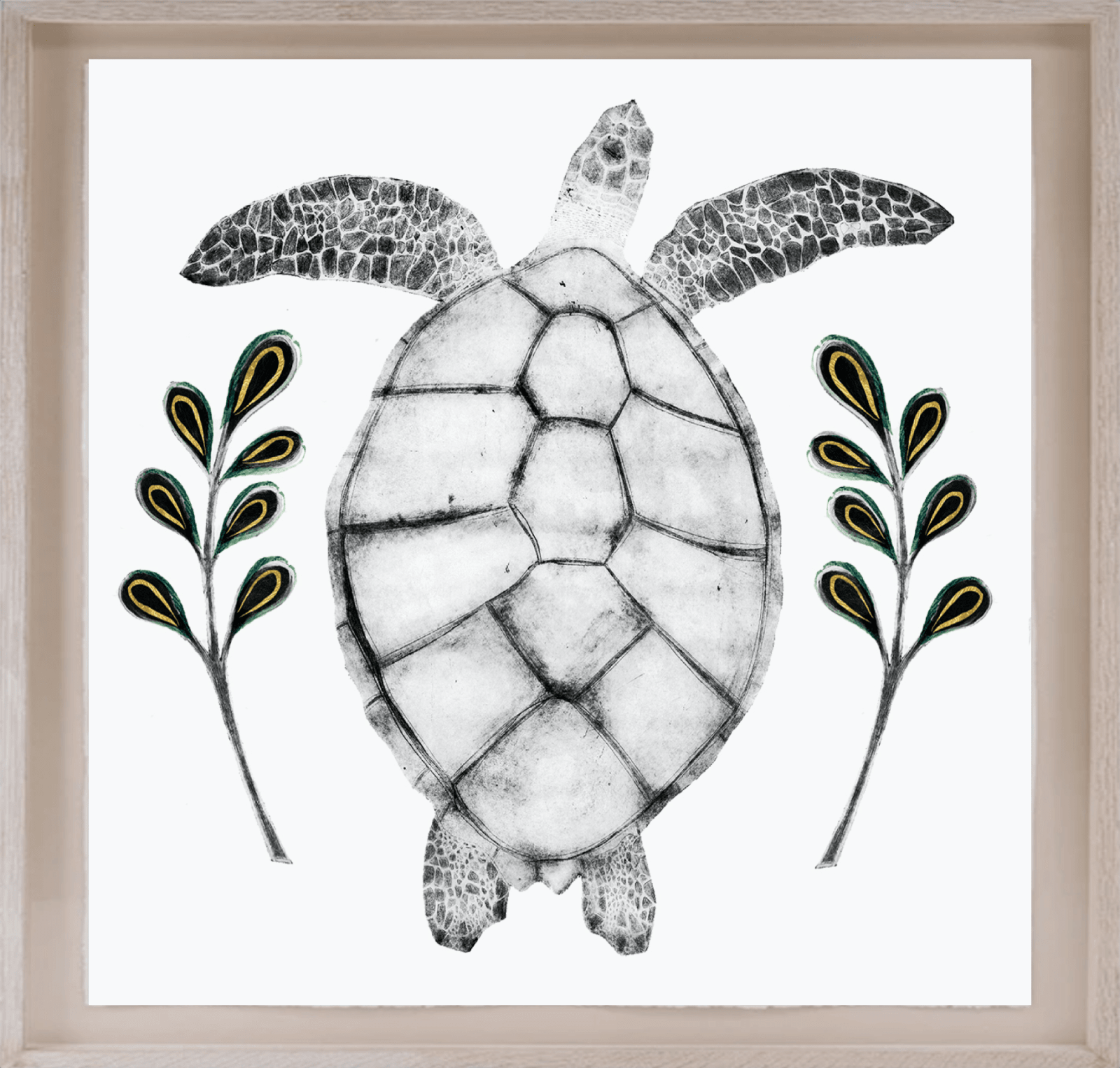 Beatrice Forshall, Hawksbill Turtle (Unframed)