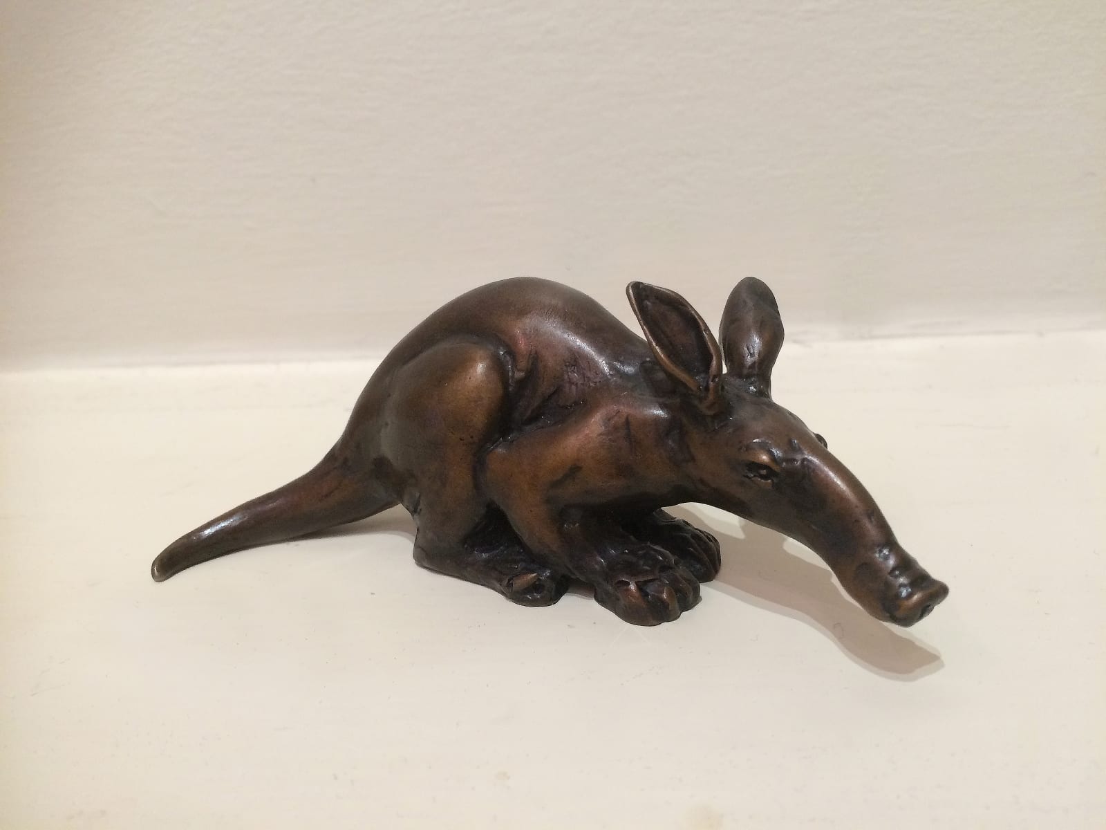 Rosalie Johnson, Aardvark