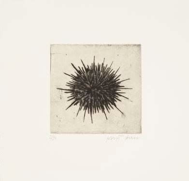 Kate Boxer, Sea Urchin (Unframed)