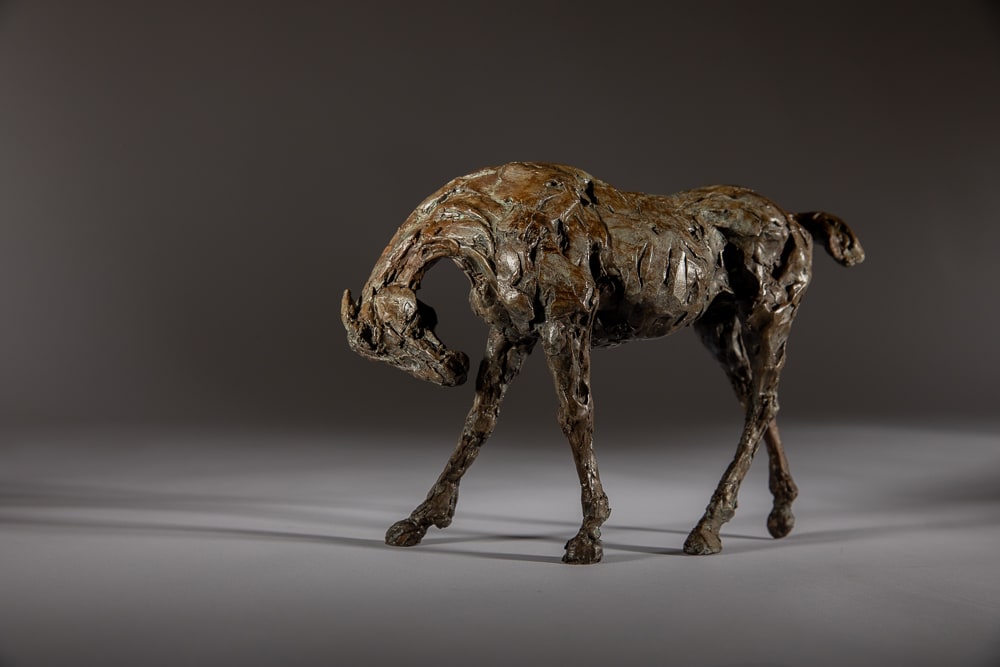 Jane Shaw, Dancing Thoroughbred