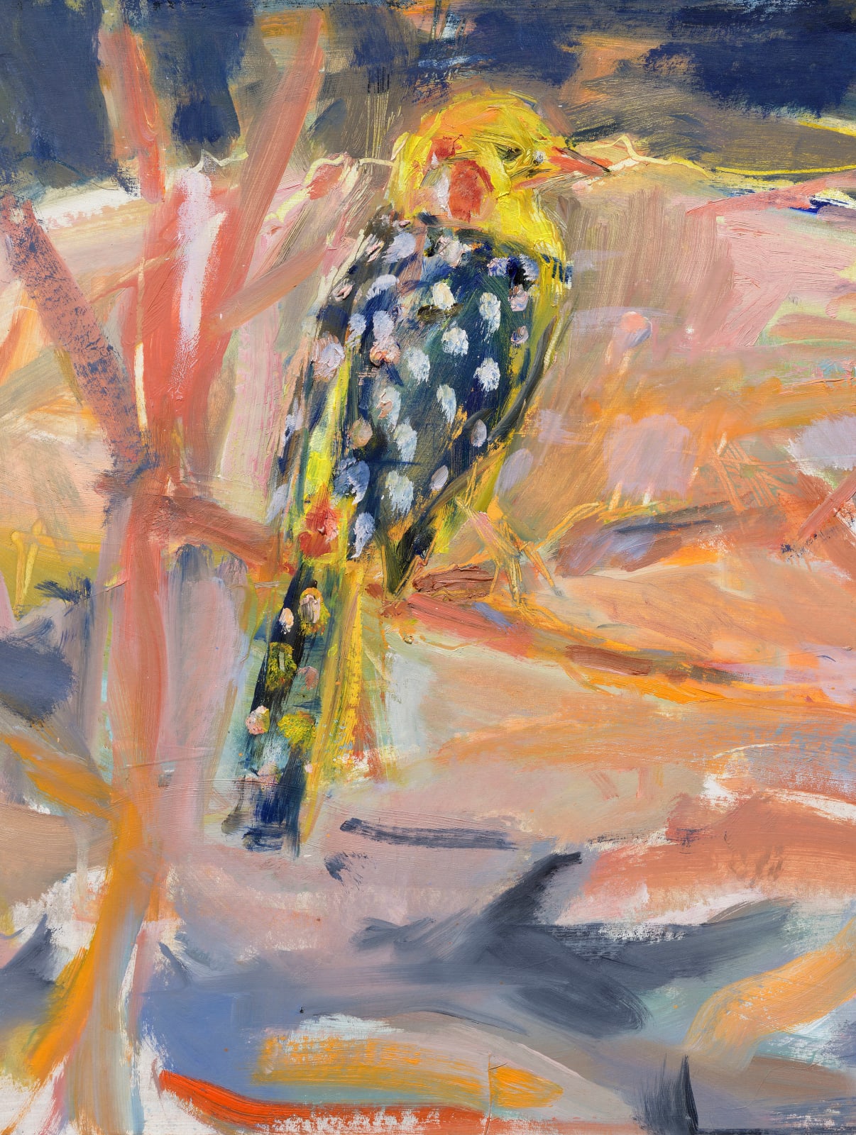 Jemma Powell, African Barbet (Hungerford Gallery)