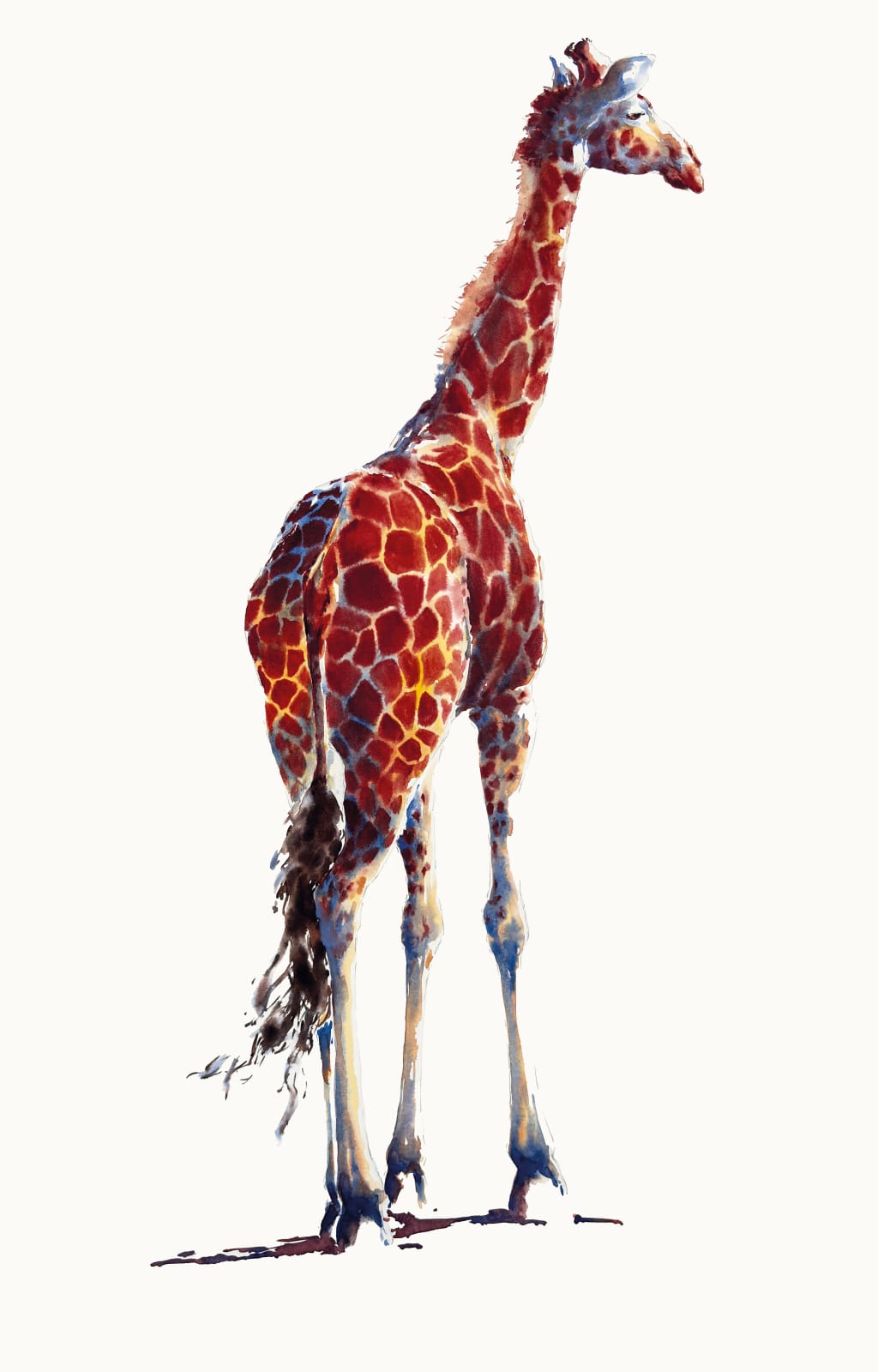 Julia Cassels, Looking Right