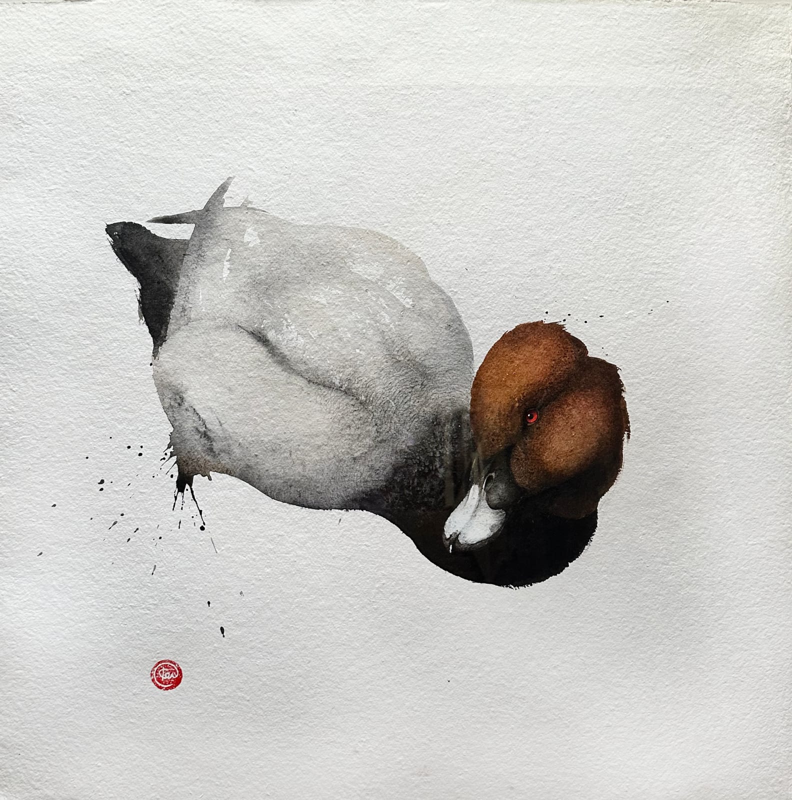 Karl Martens, Pochard Male (Hungerford Gallery)