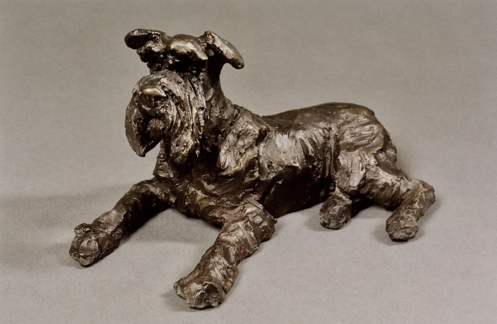 Rosemary Cook, Bertie