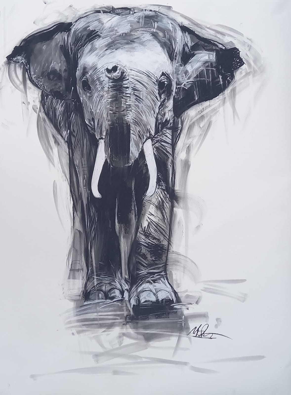 Merlin Bateman-Paris, Elephant