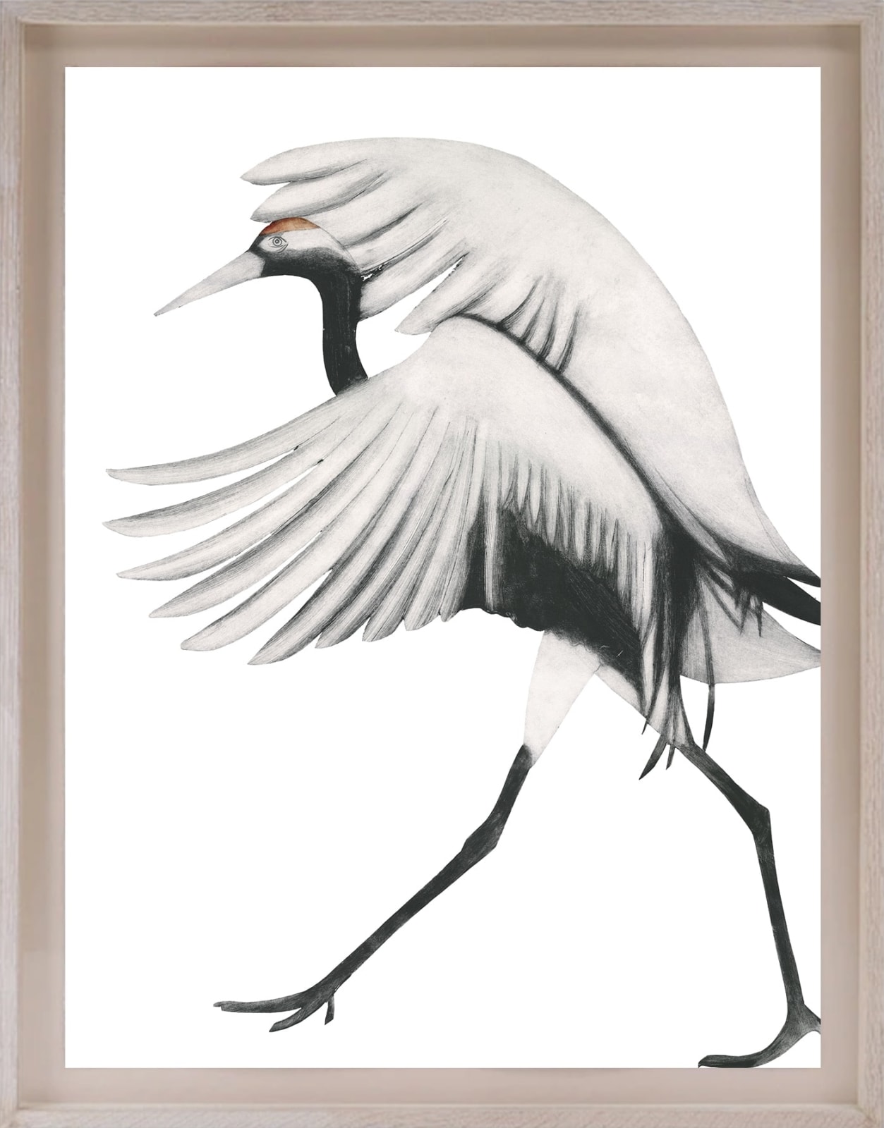 Beatrice Forshall, Red Crowned Crane (unframed)