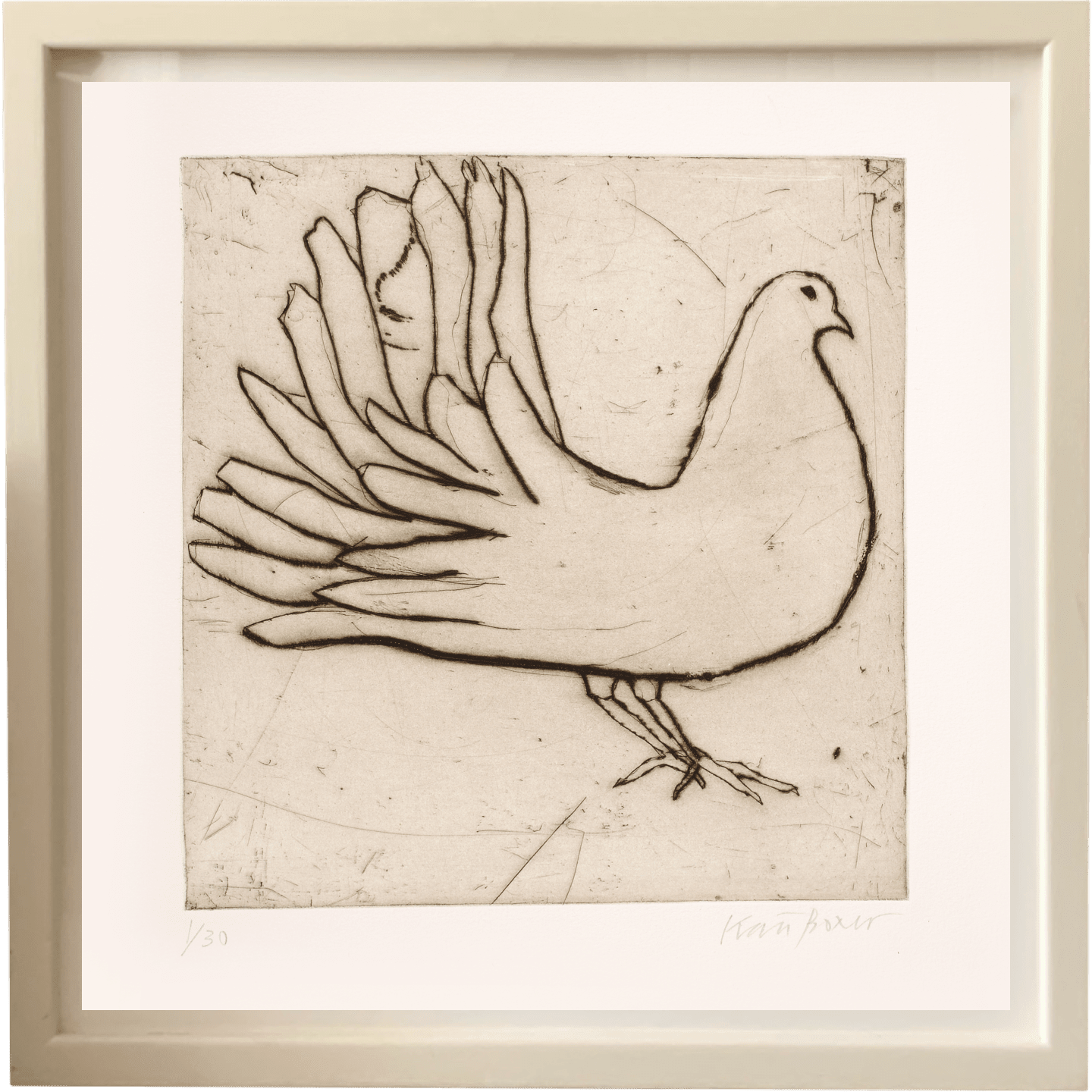 Kate Boxer, Fantail Dove (Unframed)