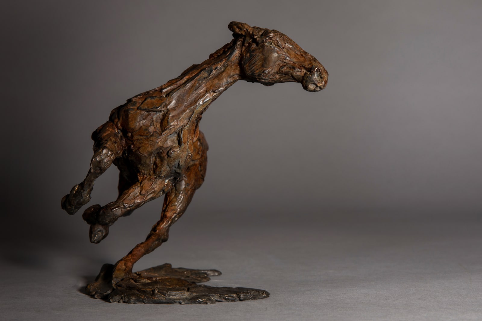 Jane Shaw, Changing Direction - Galloping Horse