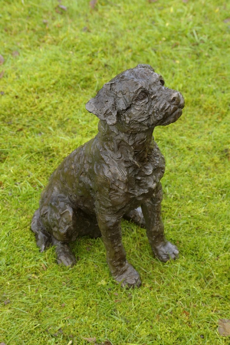 Rosemary Cook, Cromarty (Border Terrier)