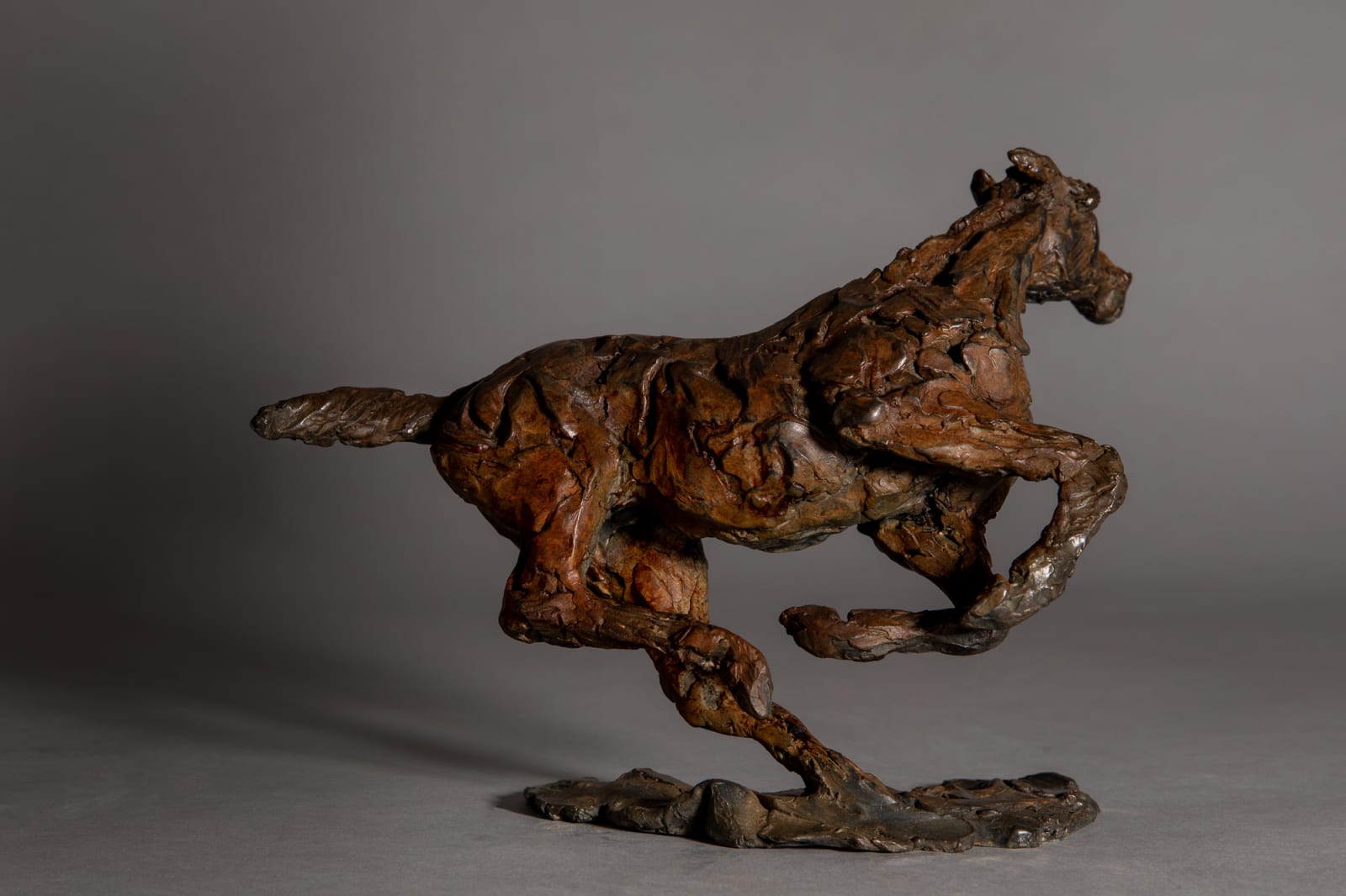 Jane Shaw, Changing Direction - Galloping Horse