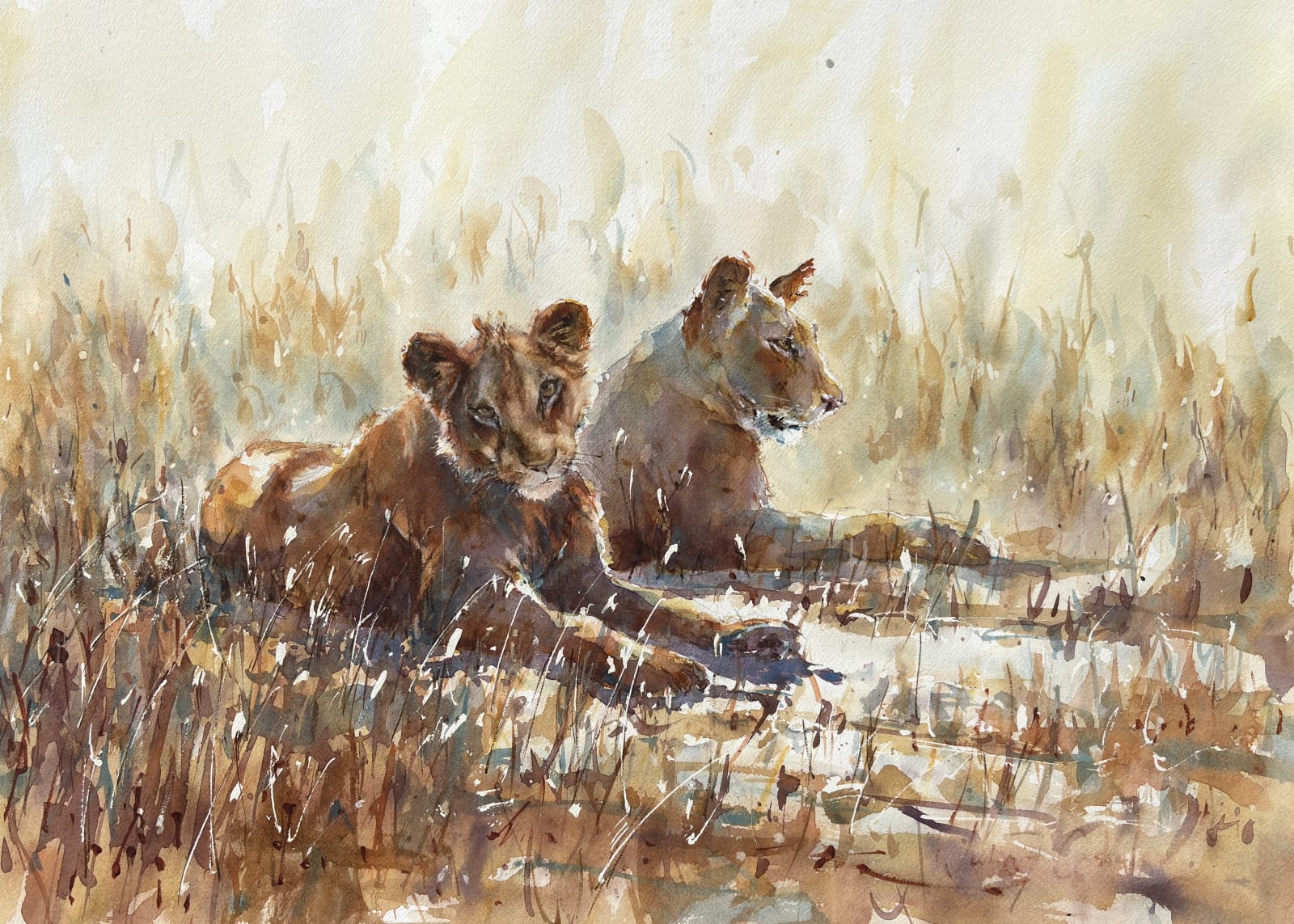 Julia Cassels, In Dawn Light (Hungerford Gallery)