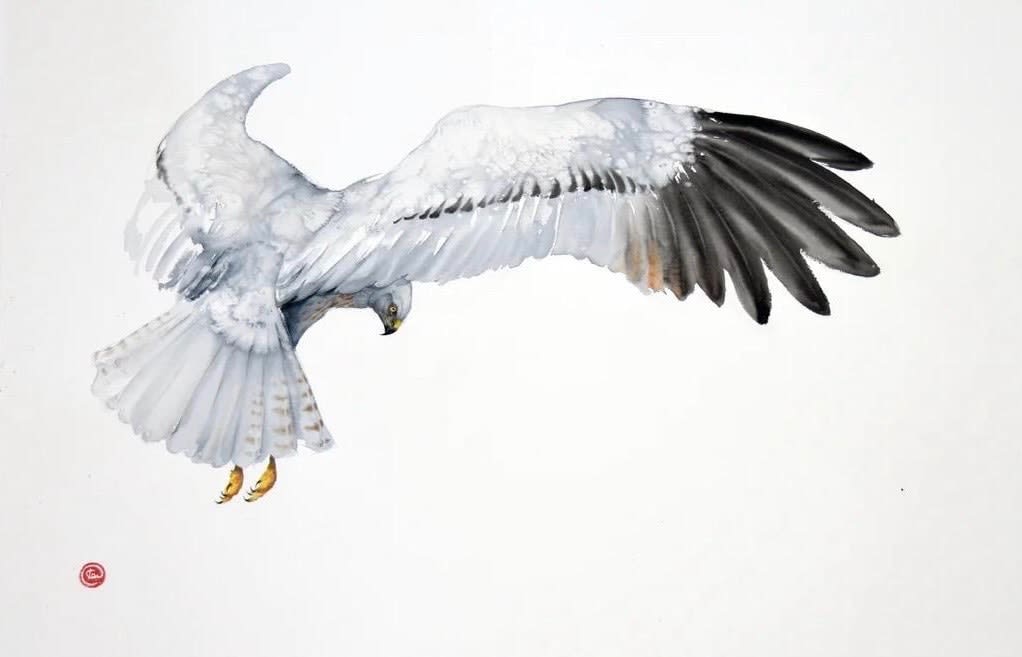 Karl Martens, Montague's Harrier (Hungerford Gallery)
