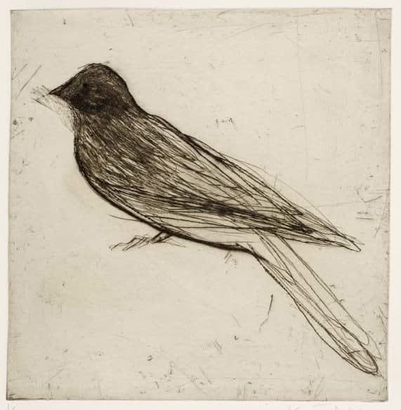 Kate Boxer, Geoffrey (Unframed)