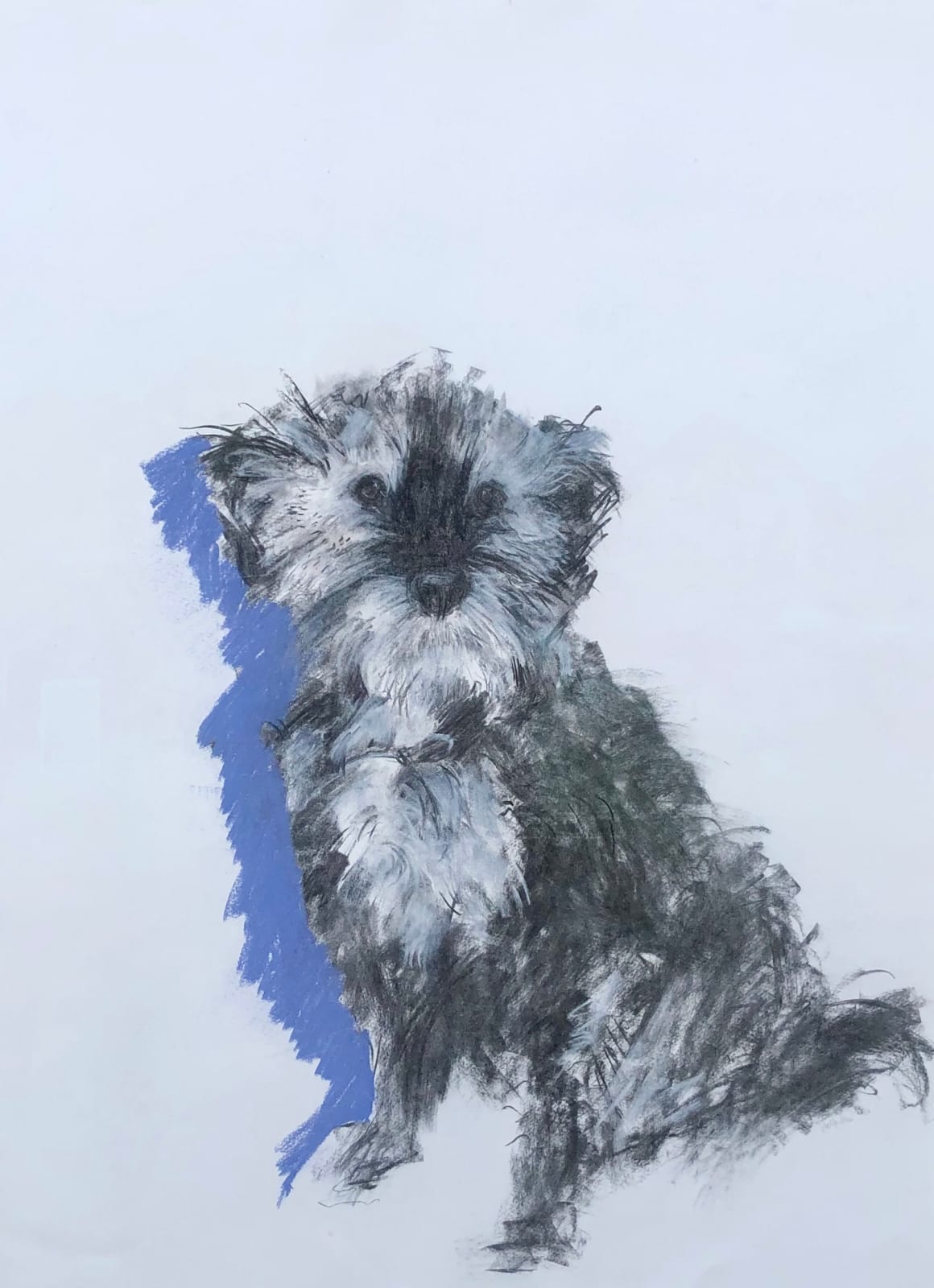 Sally Muir, Ambrose (London Gallery)