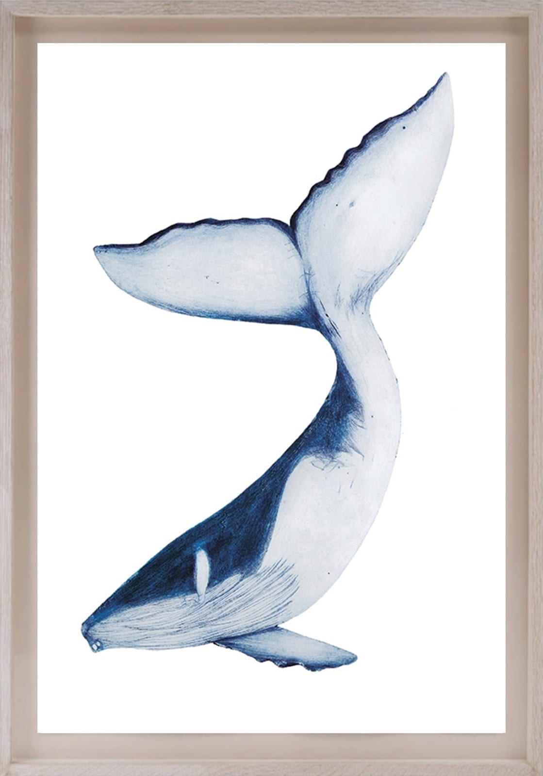 Beatrice Forshall, Humpback Whale (Unframed)