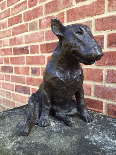 Rosemary Cook, Brin - English Bull Terrier (Hungerford Gallery)