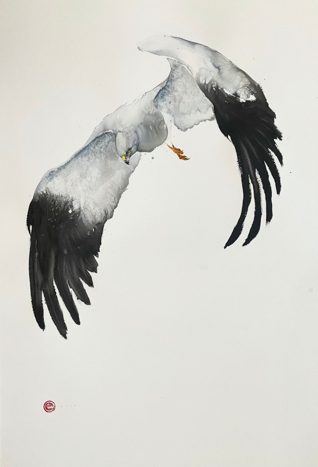 Karl Martens, Northern Harrier (Hungerford Gallery)