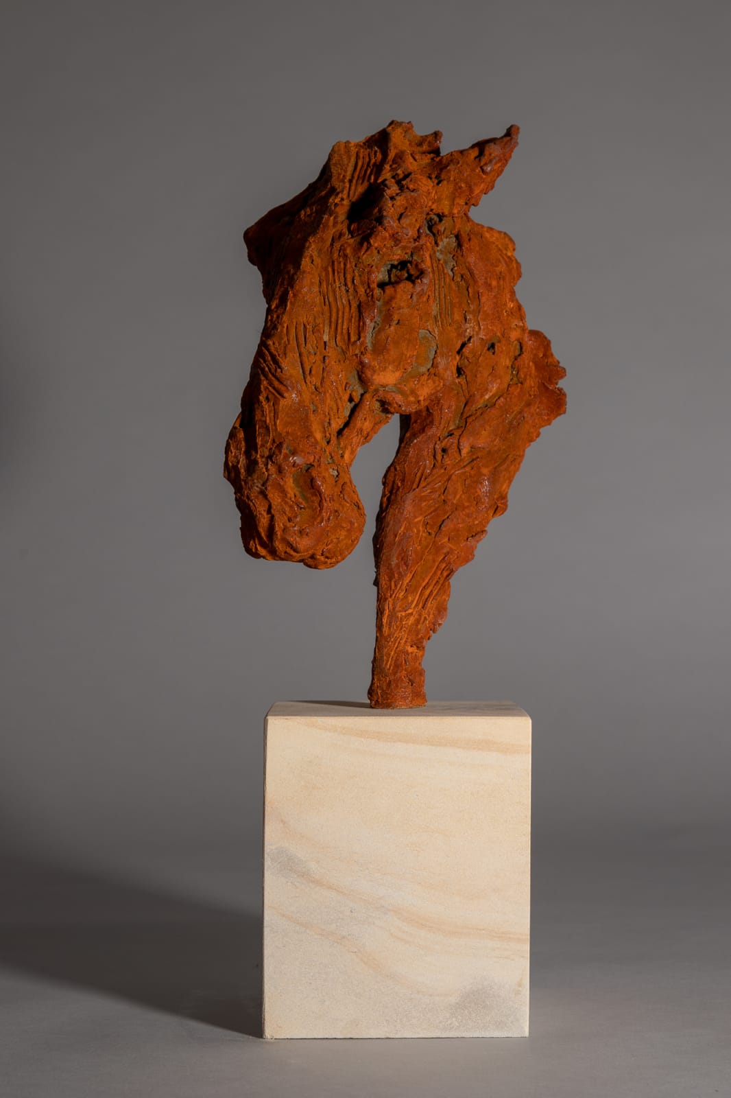 Jane Shaw, War Horse - Head of a Horse