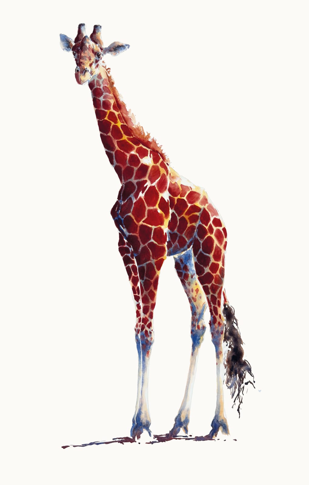 Julia Cassels, Looking Left